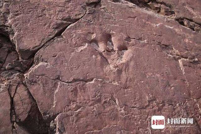 凉山州昭觉县再次发现大规模恐龙足迹化石群
