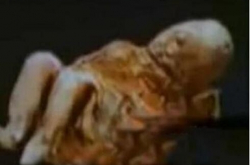 冰封600年女尸产下的活婴特灵娜是真是假，出生还有呼吸(假的)