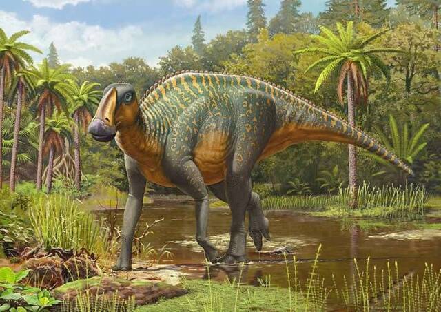 艺术如何让恐龙复活？艺术家用严苛科学标准来展现史前生物