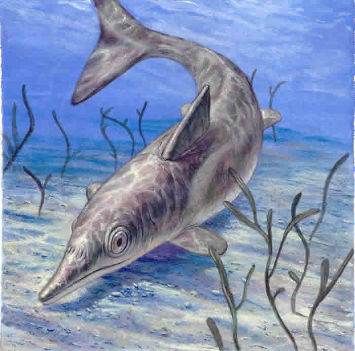 恐龙时代的“海怪”：鱼龙外表与现代鲸鱼和海豚几乎没有区别