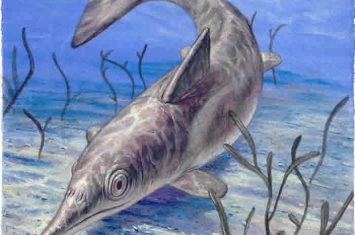 恐龙时代的“海怪”：鱼龙外表与现代鲸鱼和海豚几乎没有区别