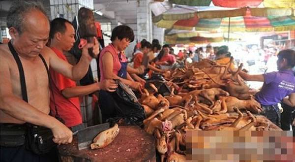 广西玉林荔枝狗肉节临近 大量狗肉疑源自毒杀宠物犬
