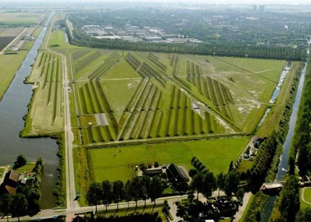 荷兰机场出现外星人“麦田圈”？减低飞机升降时所产生噪音的另类妙计