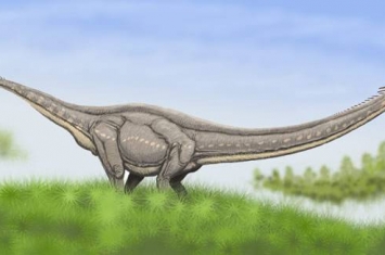 黄山市歙县发现恐龙新属种——地博安徽龙