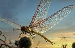 最大的巨脉蜻蜓，已知史上最大昆虫最长达2.4米(图片)