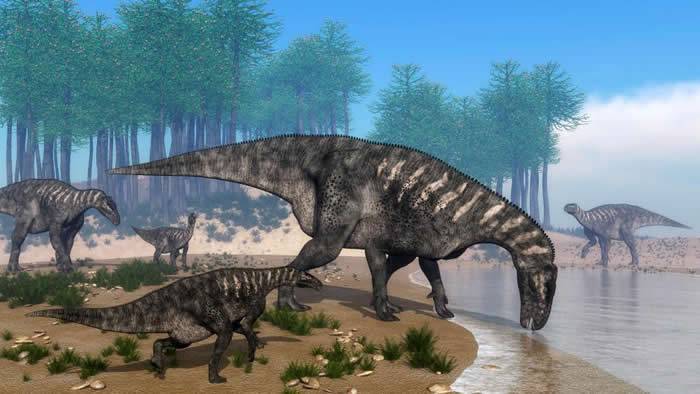 英国东苏塞克斯黑斯廷斯发现85个保存完好的恐龙脚印化石