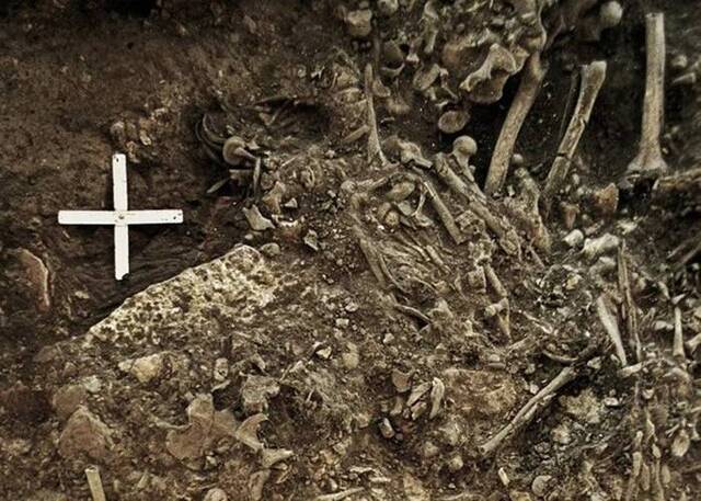 瑞典发现最古老鼠疫样本 解开新石器时代特里波耶文明消亡之谜