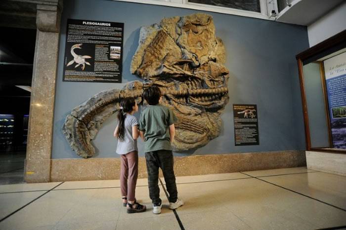 罕见蛇颈龙骨架化石亮相阿根廷自然科学博物馆