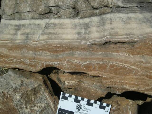 研究发现南非早期人族的化石记录偏重于气候较干旱时期 暗示可能存在化石记录空白