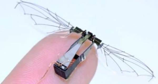 美军研制蜂鸟大小能执行隐蔽侦察的微型机器人