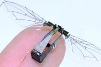 美军研制蜂鸟大小能执行隐蔽侦察的微型机器人