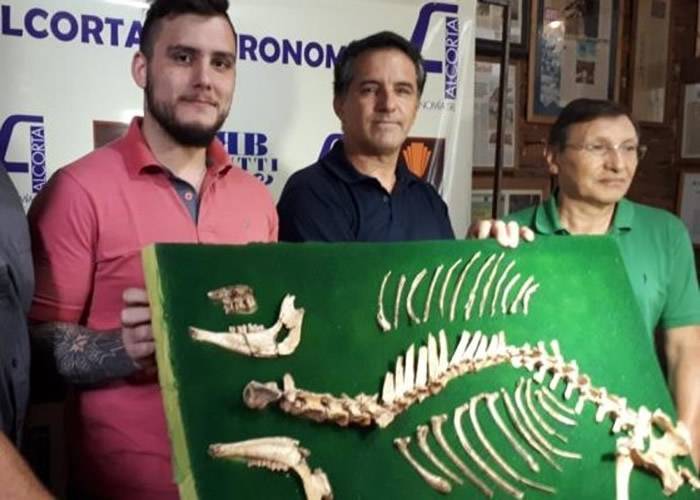阿根廷布宜诺斯艾利斯北部出土较完整的史前鹿化石
