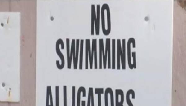 美国德州男子无视警告嘲笑鳄鱼 跳进水中遭鳄鱼攻击身亡