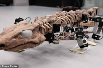 仿真机器人OroBOT展示近3亿年前古生物Orobates pabsti如何移动