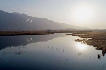 四大淡水湖像神兽是怎么回事?中国四大淡水湖分别对应什么神兽?