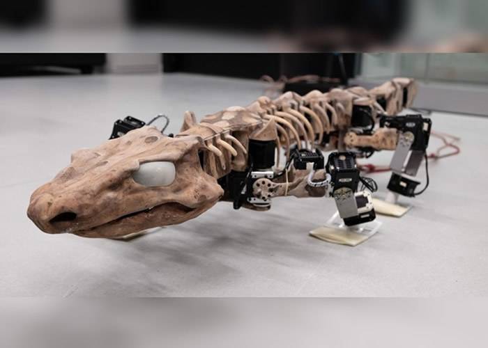 机器模型“OroBOT”重现2.9亿年前远古生物“Orabates pabsti”姿态