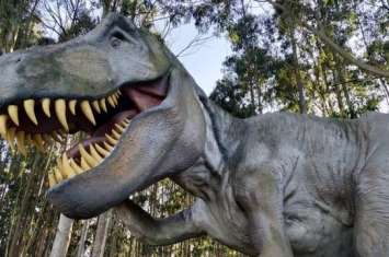 美国犹他州发现的化石显示霸王龙是群居动物 可能像狼一样成群结队捕猎