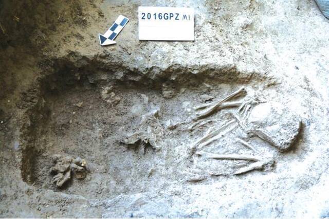 1.2万年前贵州的古人类已是“捕鱼达人”