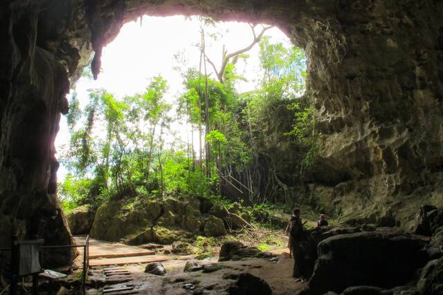 菲律宾洞穴发现三个新的巨型云鼠物种化石 它们与古人类一起生活