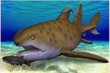 美国新墨西哥州发现的3亿年前“哥斯拉巨鲨”化石命名为霍夫曼龙鲨