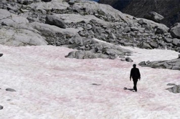 阿尔卑斯山为什么会出现粉色冰川