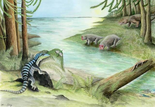 新发现的恐龙亲属“南极国王”Antarctanax shackletoni2.5亿年前在南极洲漫游
