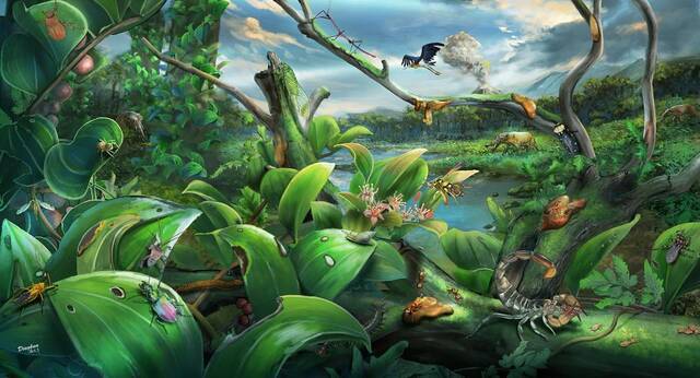 漳浦生物群是物种极其丰富的热带雨林化石库：世界四大琥珀生物群之一