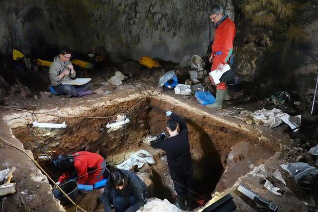 科学家首次成功从洞穴沉积物中提取到尼安德特人的DNA