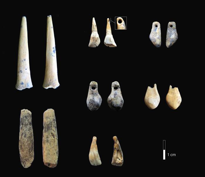 最新研究对丹尼索瓦人和尼安德特人这些古人类占据丹尼索瓦洞的年代表作出重新修正