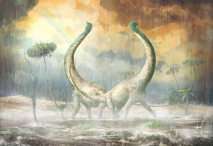 非洲发现一种有着心形尾骨的恐龙——Mnyamawamtuka moyowamkia