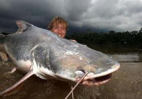 凶猛淡水鱼，亚马逊鲶鱼号称世界凶猛淡水鱼