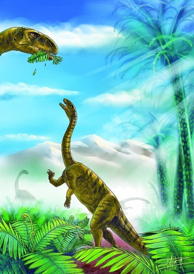 《地质学报》：云南禄丰早侏罗世地层发现的一恐龙幼体化石