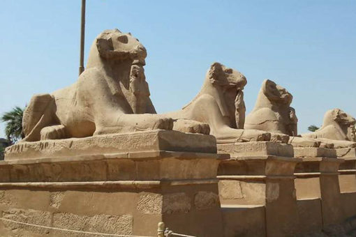 埃及出土狮身羊面 狮身羊面和狮身人面有什么区别