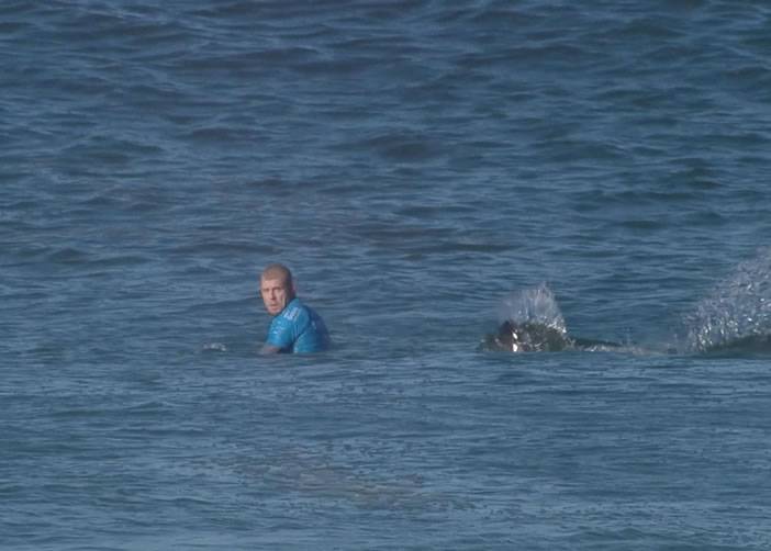 南非世界冲浪联赛决赛 澳洲选手击退鲨鱼