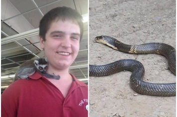 美国德州发生一宗离奇的以眼镜蛇自杀案