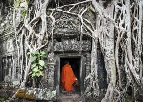 旅游评论网站TripAdvisor公布亚洲25大最佳旅游城市：柬埔寨暹粒夺冠