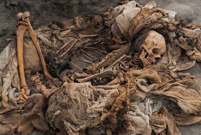 秘鲁发现一座新的埋有儿童和羊驼遗骸的前哥伦比亚奇穆文化大型墓葬