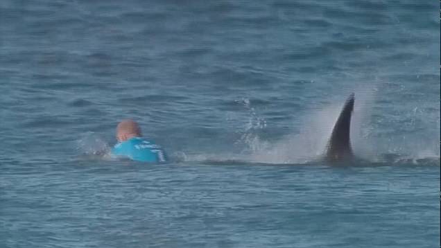 南非冲浪比赛澳大利亚选手遭遇鲨鱼攻击被撞下冲浪板