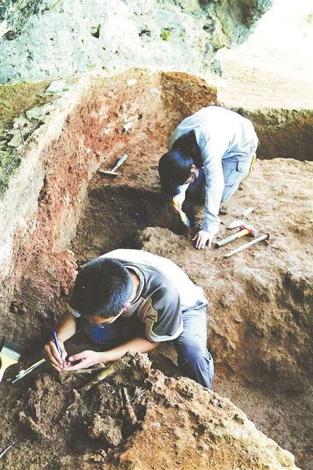 广东省英德市青塘遗址发掘出华南最早的穿孔蚌器与广东最早的陶器
