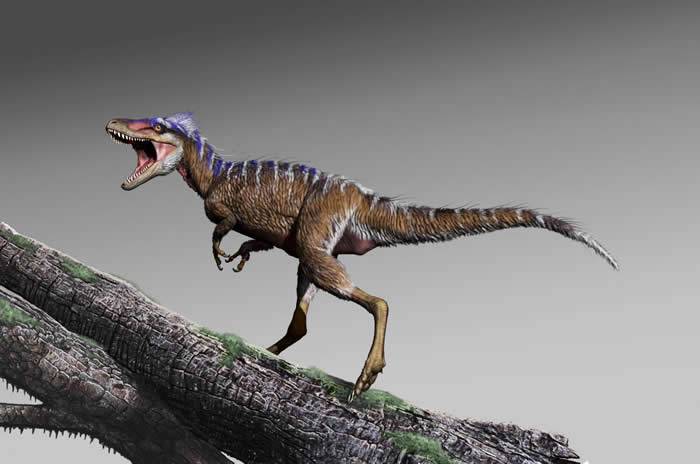 古生物学家在美国犹他州发现霸王龙始祖化石——“厄运的先兆”(Moros Intrepidus)