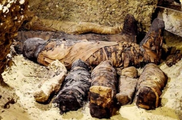 埃及南部发现存有40具木乃伊的古墓