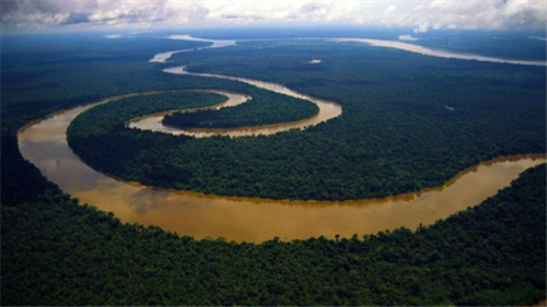 为什么至今没有一座桥梁能跨越亚马逊河