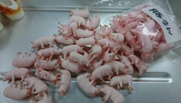 日式料理原只真“猪”浸入汤里吓死人