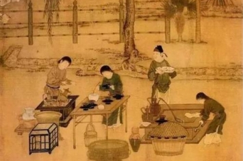 茶叶的历史起源