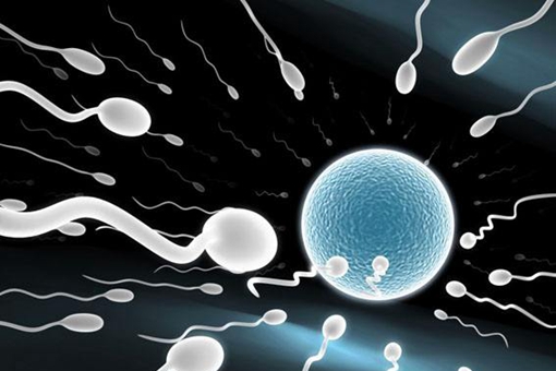 揭秘关于精子的历史,人类最简单且又最复杂的繁衍过程