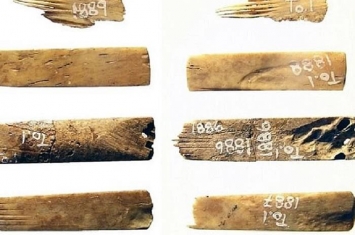 汤加王国发现2700年前由人类和海鸟骨头制成的“纹身工具”