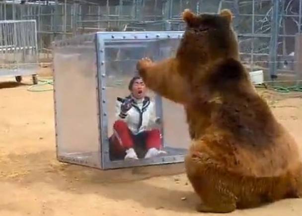 日本NTV电视台《千奇百趣大挑战》惊栗宣传片：棕熊进击困胶箱女子