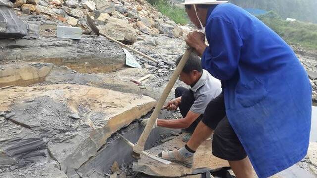 专题：中国宜昌长阳地区发现5.18亿年前寒武纪特异埋藏化石库“清江生物群”