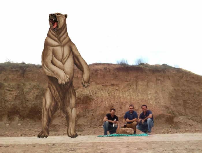 阿根廷采石场发现70万年前“南美细齿巨熊”遗骸化石 体重800公斤