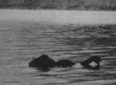 铜山湖水怪到底是什么，100多米水下魔影太吓人(真实照片)